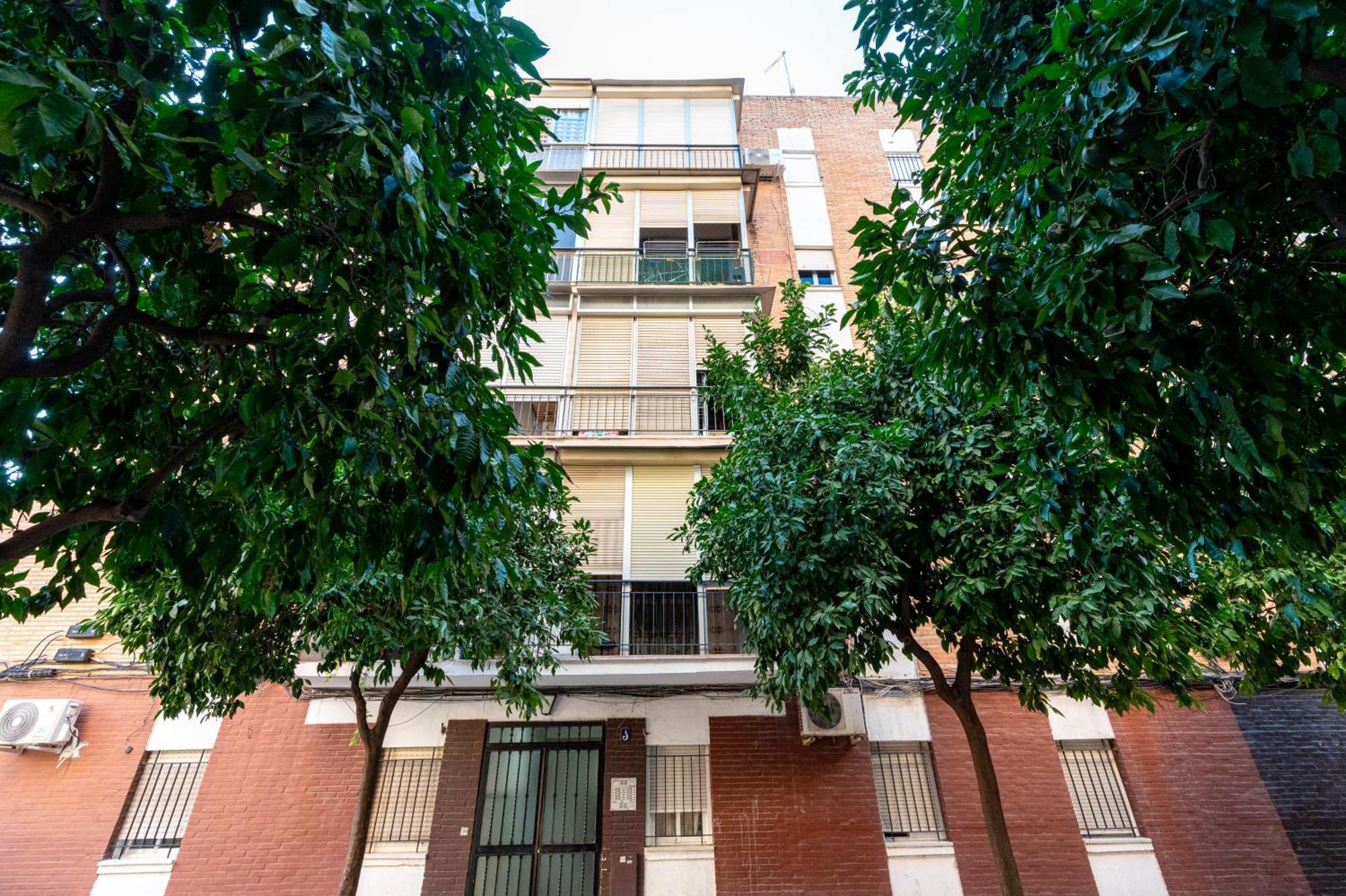 Piso Elegante Y Nuevo De 3 Habitaciones Y 2 Banos Sevilla Exterior foto