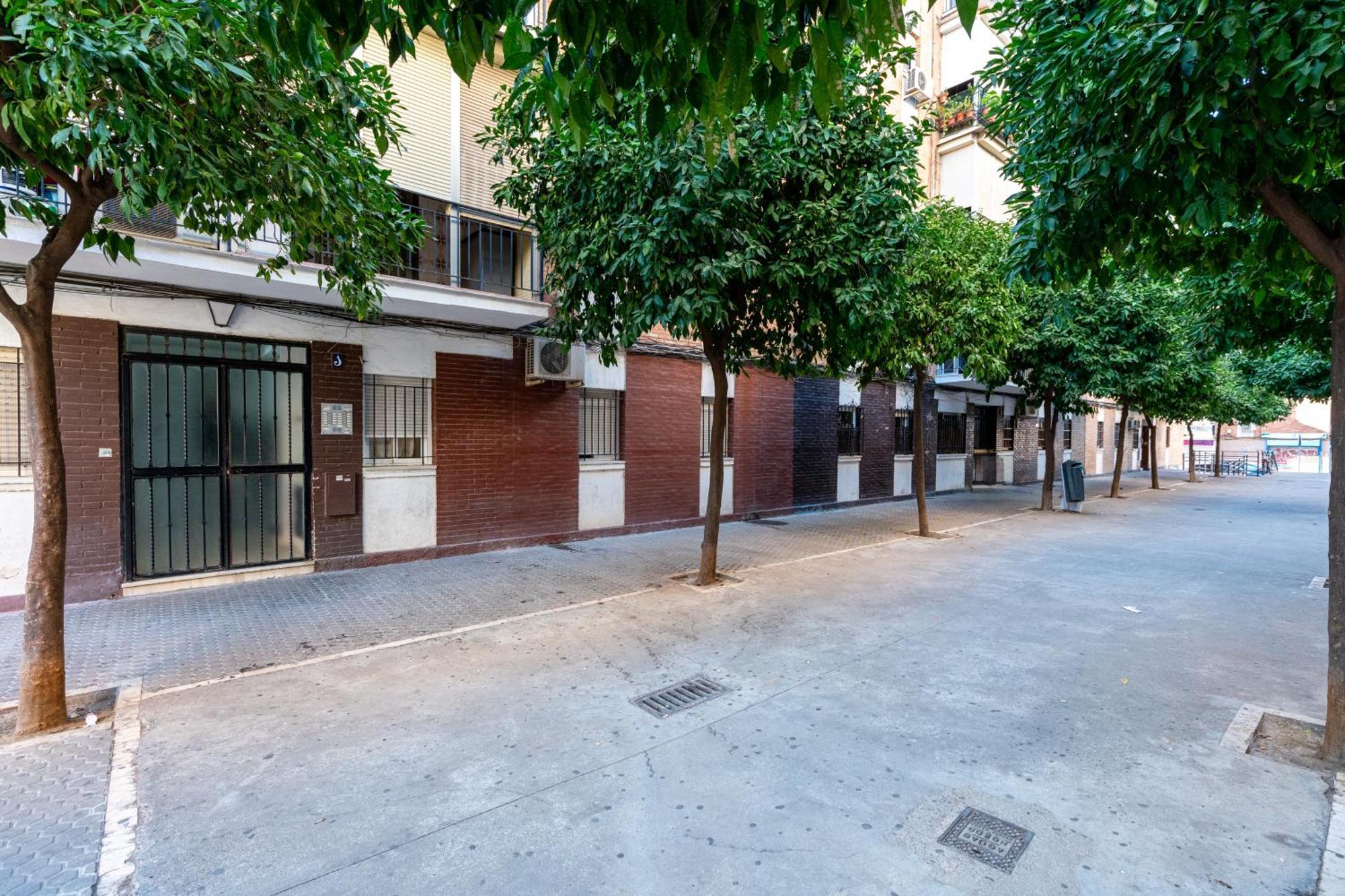 Piso Elegante Y Nuevo De 3 Habitaciones Y 2 Banos Sevilla Exterior foto